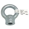 aiai 15-107 5/8" Eye Nut