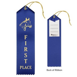 RibbonsNow Horse Show Ribbons 1st - 6th Place - 600 Total Ribbons - 100 Each Place with Card & String