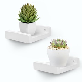 Small Wall Shelf,Small Floating Shelves for Wall,Mini Plants Shelf Wood