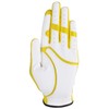 REZAX Golf Glove Fukuoka Softbank Hawks One Size Golf Glove