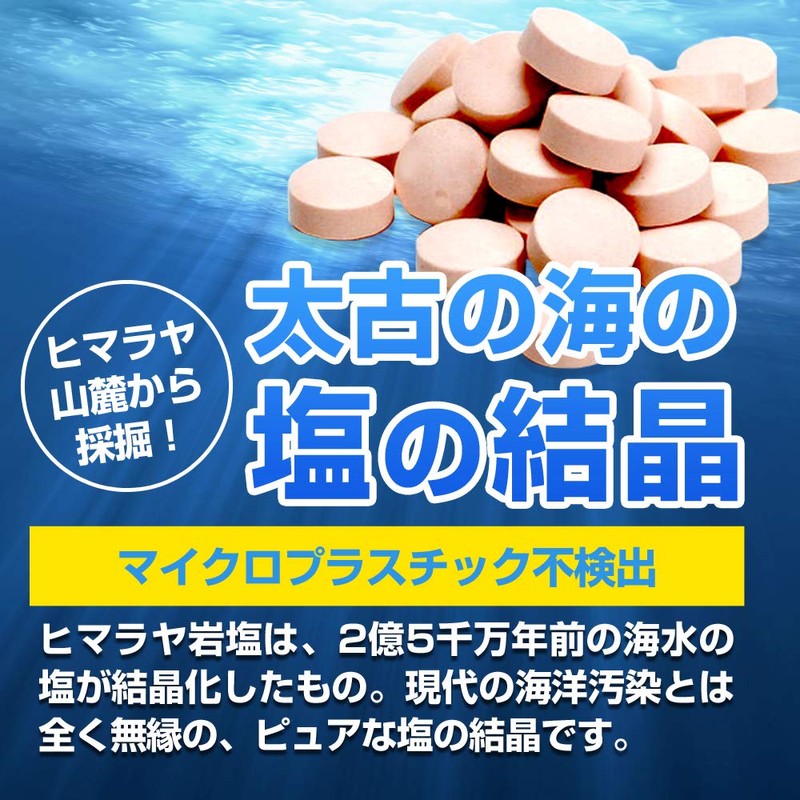 Himalayan Rock Salt Tablet [550 Refills] For Heat Stroke Prevention