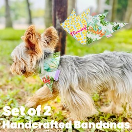 Super Small!! YorkieGogo 2-Pack Cotton Bandanas for Small Dogs, Cats, and Rabbits - S and XS Sizes, Vacation Style, Handmade (X-Small, Vacation)