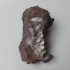 Gibeon/Gibeon Meteorite Specimen (Iron Meteorite) Approx 3.0 G