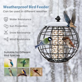 SOARS Hanging Bird Feeder with Protective Cage Metal, Bird Feeder for Birds, Weatherproof, 21 x 21 x 23 cm