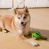 Dog Toys Ball, Interactive Dog Ball, Shaking with Gibbering Sound,