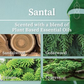 Hemlock Park Wood Wick Candle Handcrafted with Natural Coconut Wax and Essential Oils (Amber & Gold 7.2 oz, Santal)