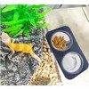 MRTIOO 100 pcs 0.5oz Crested Gecko Food and Water Feeding