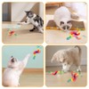Orixo Pack of 6 Wiggly Ball Wiggly Balls for Cats,