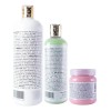 Kit Taninoplastia Silver1l, Sellador 250ml, Shampoo Lp 500ml