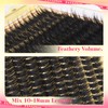Wispy Lash Clusters with Spikes Manga Lash Clusters 160D Eyelash