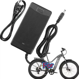RXQMXG AC/DC Adapter For Aventon Aventure 2 Step-Over Ebike AVT003 Power Supply Cord
