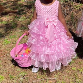 Baby Girl Dresses Ruffle Lace Pageant Party Wedding Flower Girl Dress Pink 4-5 Years M(5)