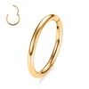 AROWRO G23 Titanium Hinged Nose Rings Hoop 20G 18G 16G