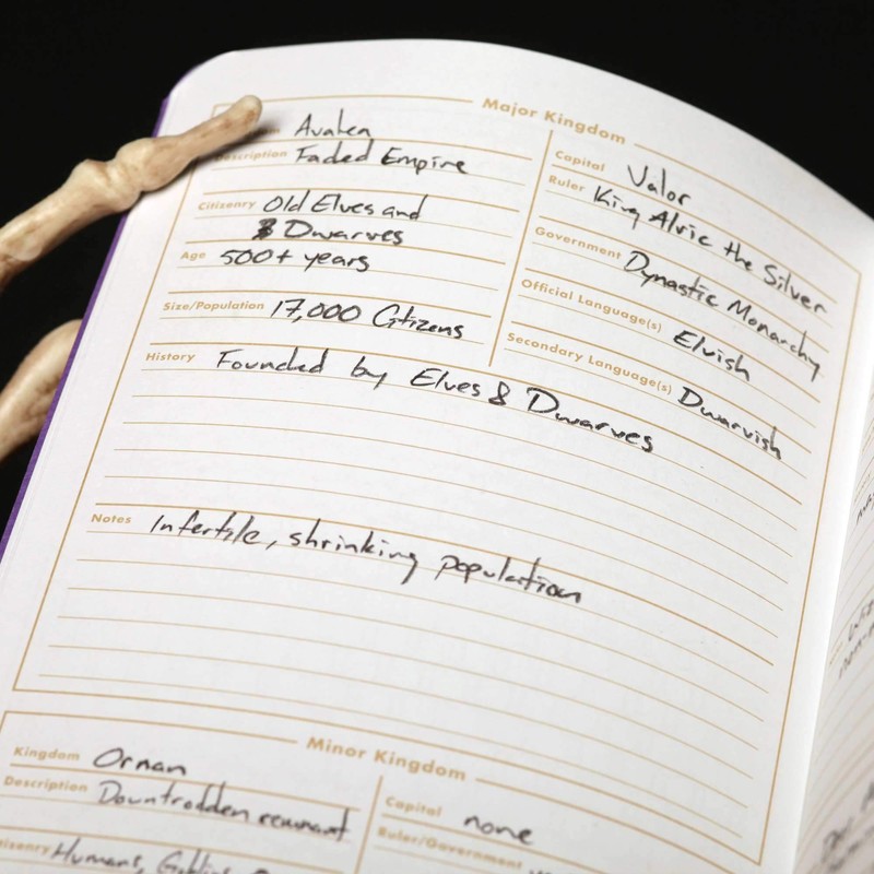 Field Notes 5E Gaming Journals (Game Master Journal 2-Pack)