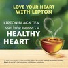 Lipton Gallon-Sized Iced Tea Bags Picked At The Peak of