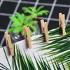 DERAYEE Pack of 100 Wooden Pegs, Clothes Pegs, Small, for