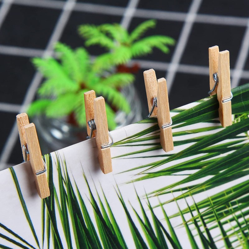 DERAYEE Pack of 100 Wooden Pegs, Clothes Pegs, Small, for