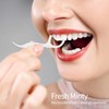 Dual-Line Dental Floss Picks, with Handle Flossers Toothpick ，Selected Floss