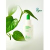 Ilsoh Houttuynia cordata tender jom double soothing ampoule 30ml /