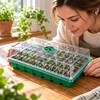 40-Cell Seed Starter Trays for Plant Propagation – 3-Piece Set