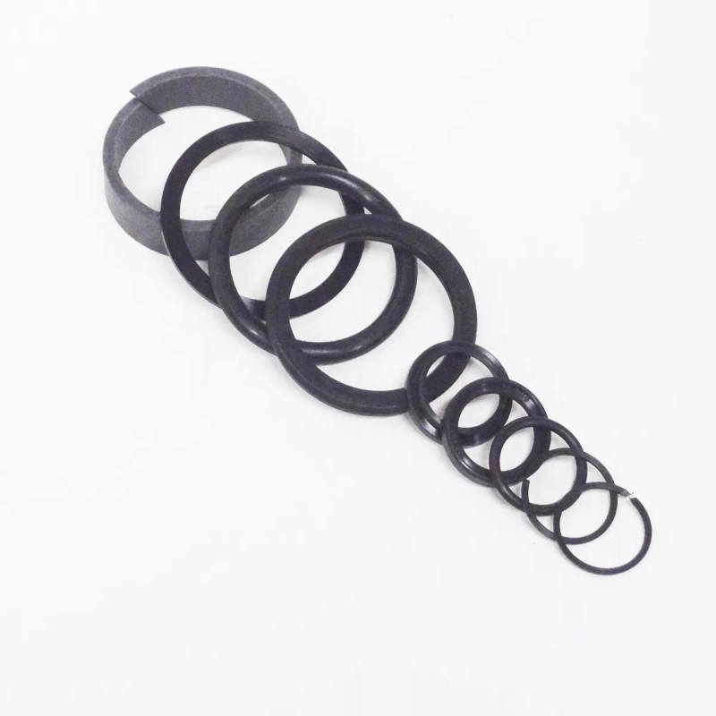Forward Lift 2 post Cylinder Seal Kit / rebuild kit