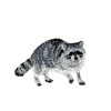 Unbranded Iron on patch applique Natural Raccoon  2-1/2" wide x 1-3/4" tall