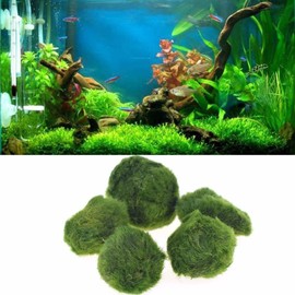 AMICET Aquarium Decoration Moss for Fish Tank Landscaping Balls (6pcs, 1.77in)