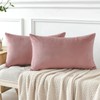 JOTOM Set of 2 Velvet Soft Solid Cushion Covers 30x50