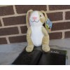Kohl's Cares Rabbit 10" + 5"x 7" Book "The Happy