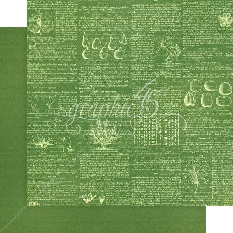 Graphic 45 Fruit & Flora Paper PRNT/Solid, Assorted, One Size