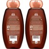 Garnier Whole Blends Smoothing Shampoo with Coconut Oil & Cocoa