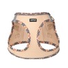 AMTOR Small Dog Harness with Leash Set, No Escape Easy