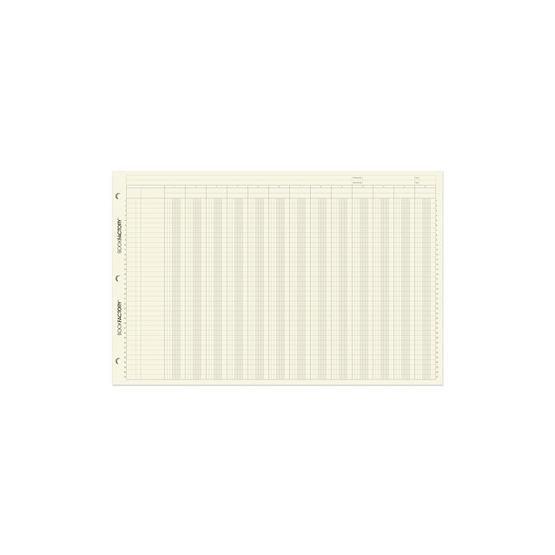 BookFactory Ledger Pad/Large 13 Column Accounting Ledger Columnar (Thirteen Columns)