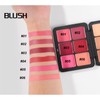 12 Colors Contour with Highlighter, Bronzer and Blush Shades, Cream
