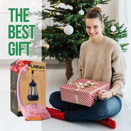 Philodwell Flamingo Statues for House Garden Decor: Solar Outdoor Ornament for Patio Lawn Porch Yard Art(Pink) - Unique Birthday Gifts for Mom Mother Grandma