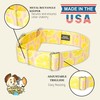 Country Brook Petz - HossFit Jr Wide Martingale Dog Collar