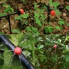 300PCS Automatic Drip Irrigation Kit Garden Watering System Adjustable Micro