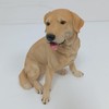 dilixuan Yellow Labrador Retriever Resin Statue | Hand-Painted Garden Sculpture