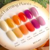 classic nail Vibla Guhwang Crop Glitter Syrup Gel 15 Piece