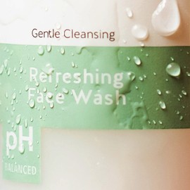 Alpha Skin Care Refreshing Face Wash, Gentle Soap-Free Formula, Citric AHA, Cleanses, Purifies, Tones & Restores pH, All Skin Types, Removes Make-Up & Oil, Anti-Aging Ingredients, 6 Oz