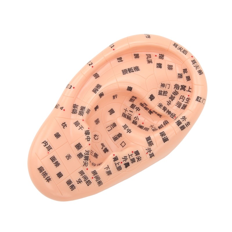 600Pcs Acupressure Ear Beads Massage Acupoint Pressure Stimulation Paste Ear