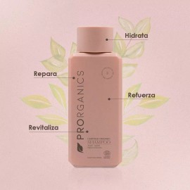 Prorganics Shampoo Orgánico Prorganics Reparador Natural Libre De Sulfatos Y Parabenos 400 Ml Vegano
