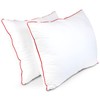 Empyrean Bedding Bed Pillows for Sleeping - Premium Pillows King