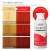 Kiss Express Color #K44 Semi-Permanent Scarlet 3.5 Ounce (100ml)