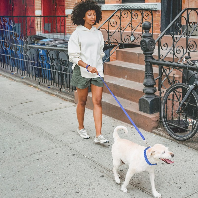 1TO3GO Dog Training Collar with 4 Extra Links for Medium,