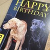 Fox Red and Black Labrador Dog Birthday Card