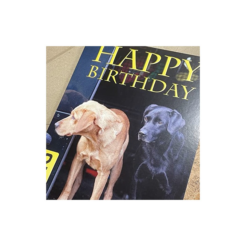 Fox Red and Black Labrador Dog Birthday Card
