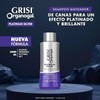 2 Shampoo Grisi Organogal Silver Canas Platinadas 400ml
