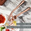 Premium Garlic Press, Professional Garlic Mincer, Easy to Squeeze and