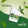 Nature's Will 100% Pure Organic Neem Oil, Cold Pressed and
